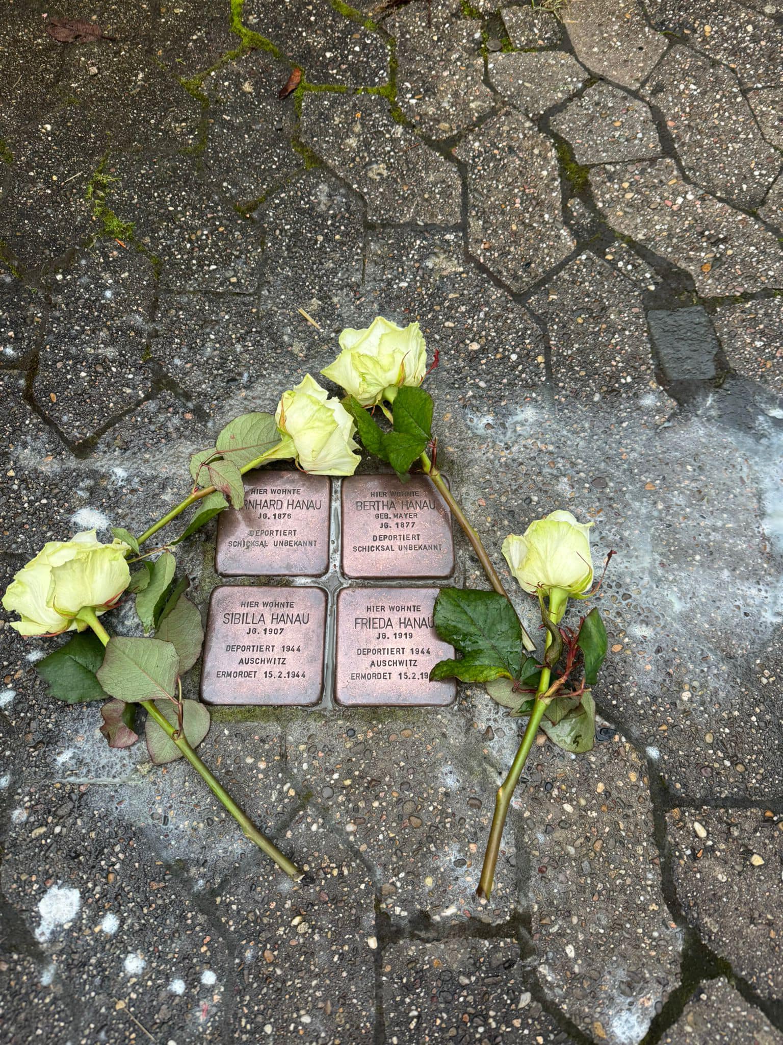 Beschreibung des Bildes