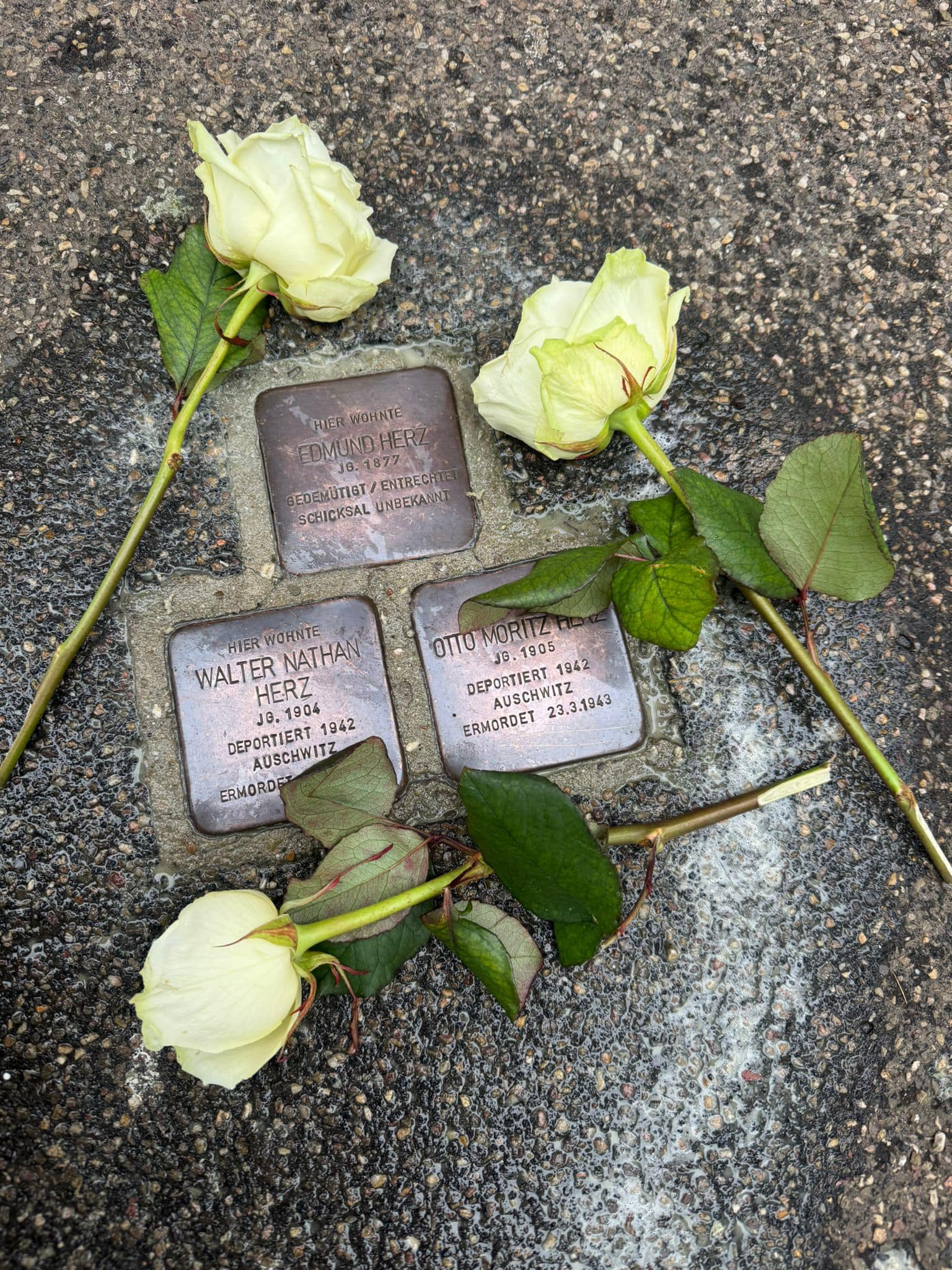 Beschreibung des Bildes