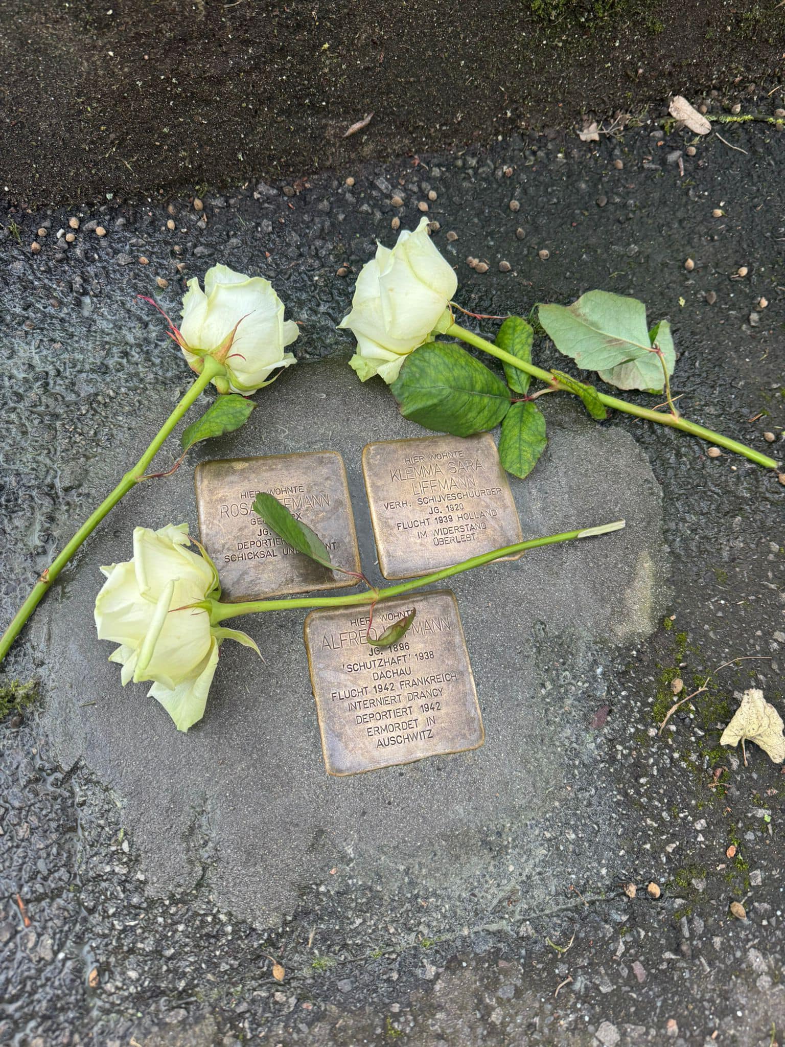 Beschreibung des Bildes