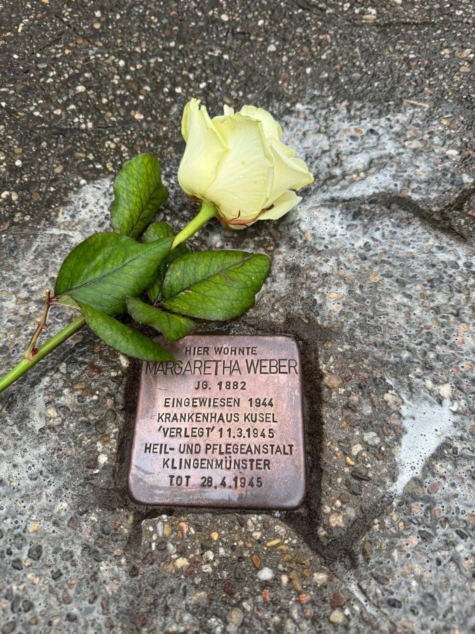 Beschreibung des Bildes