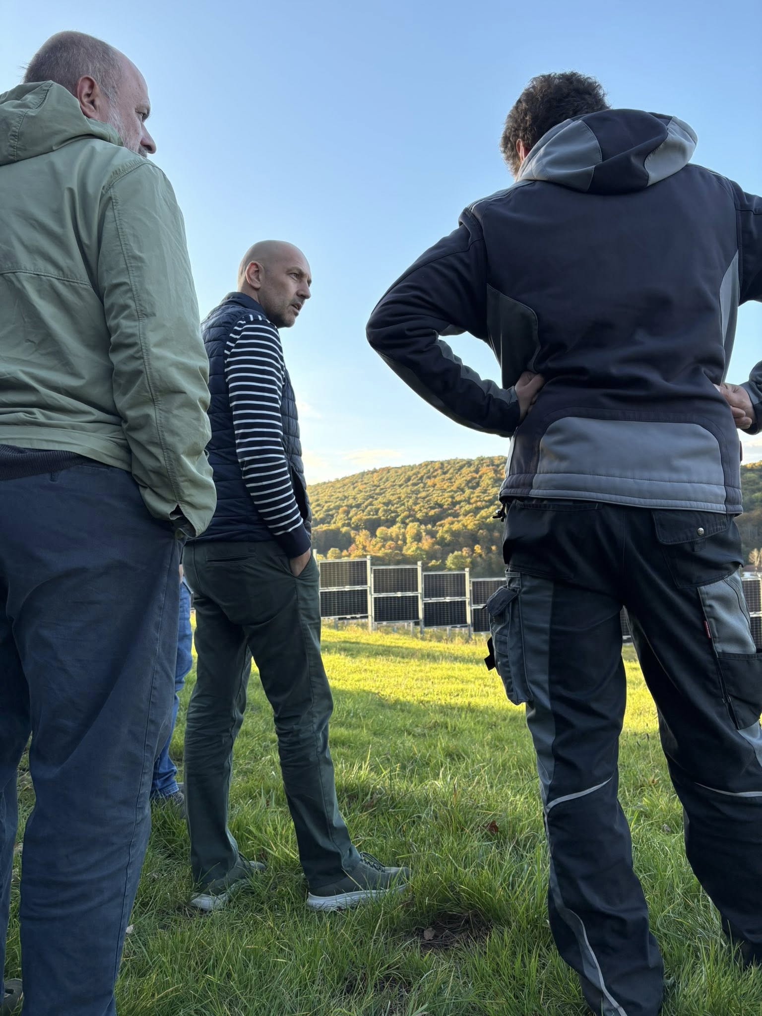 Beschreibung des Bildes