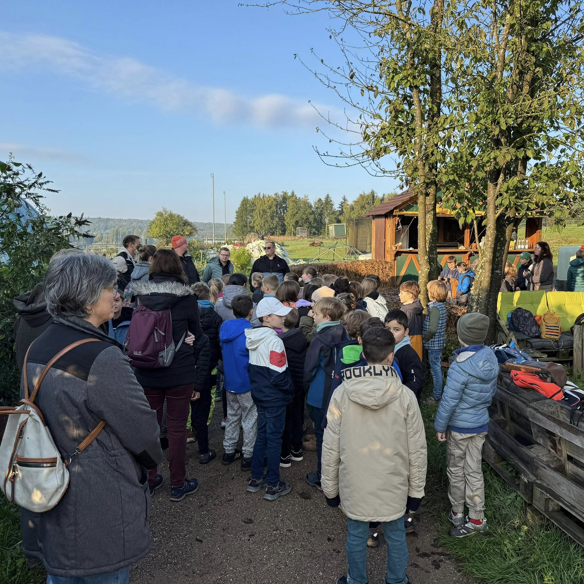 Beschreibung des Bildes