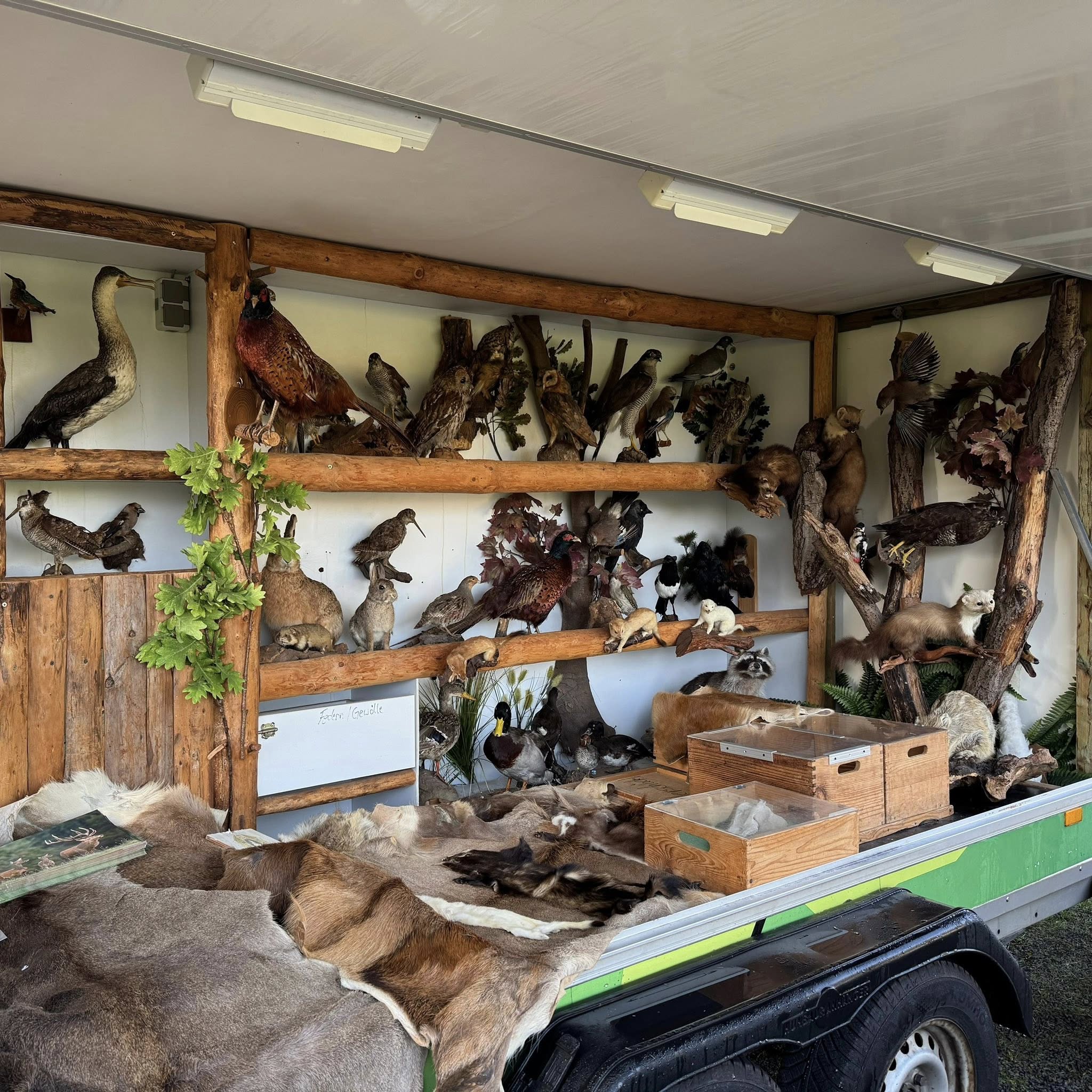 Beschreibung des Bildes