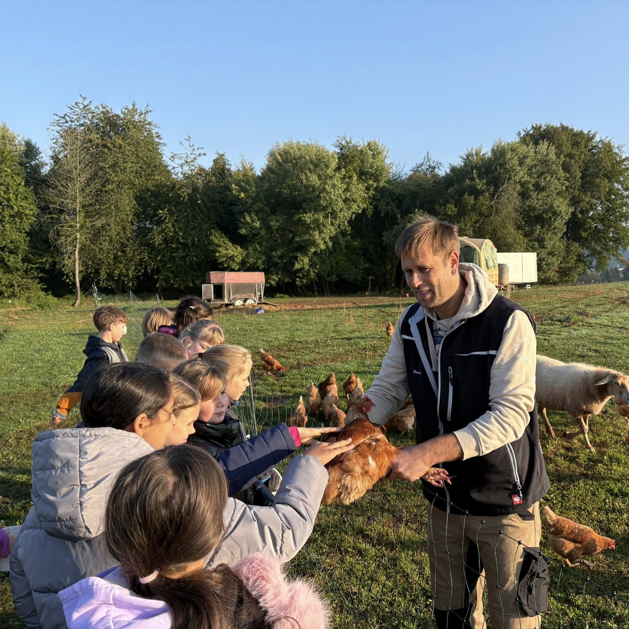 Beschreibung des Bildes