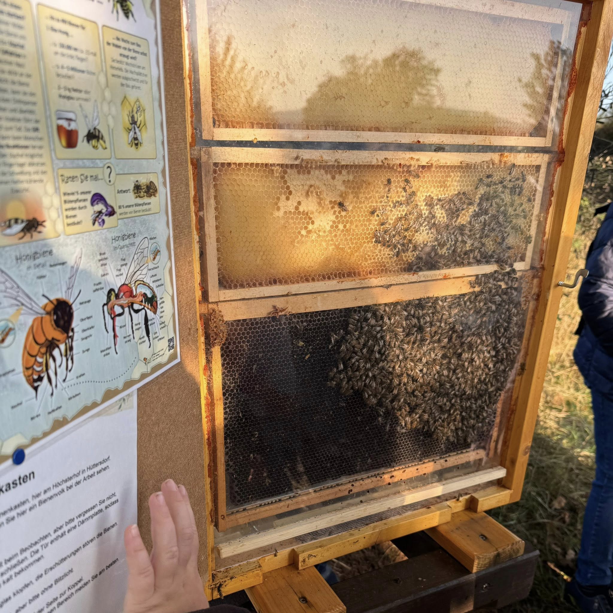 Beschreibung des Bildes