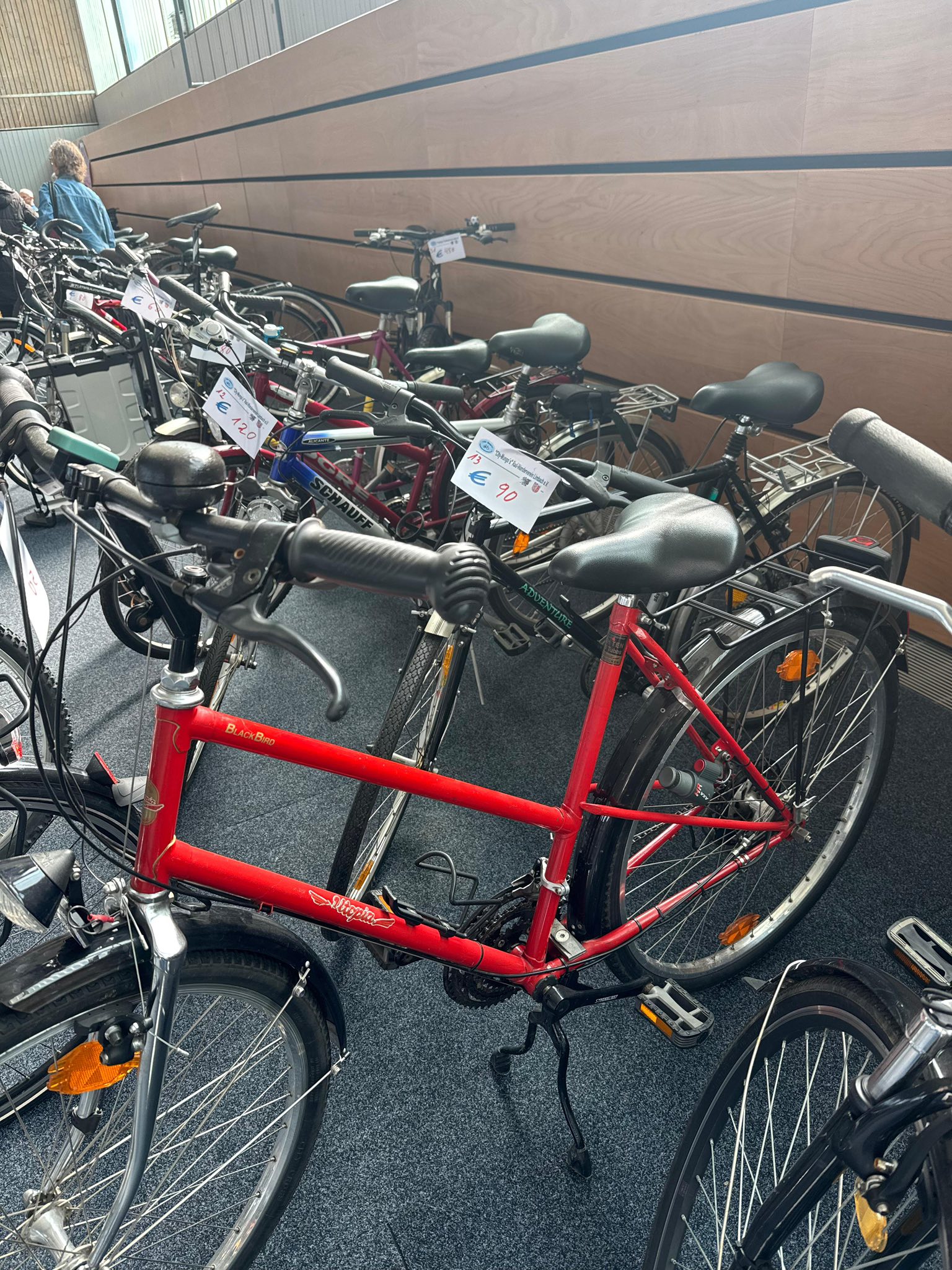 Beschreibung des Bildes