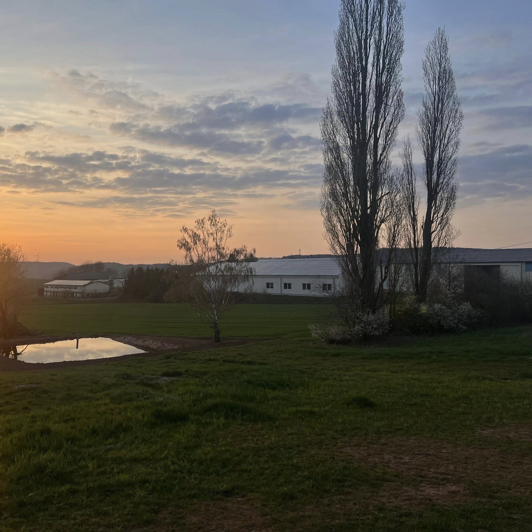 Beschreibung des Bildes