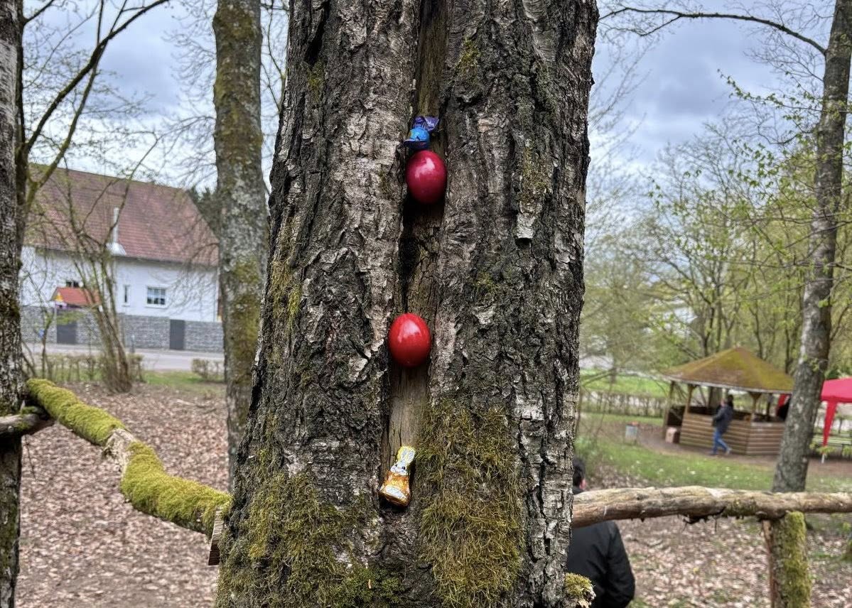Beschreibung des Bildes