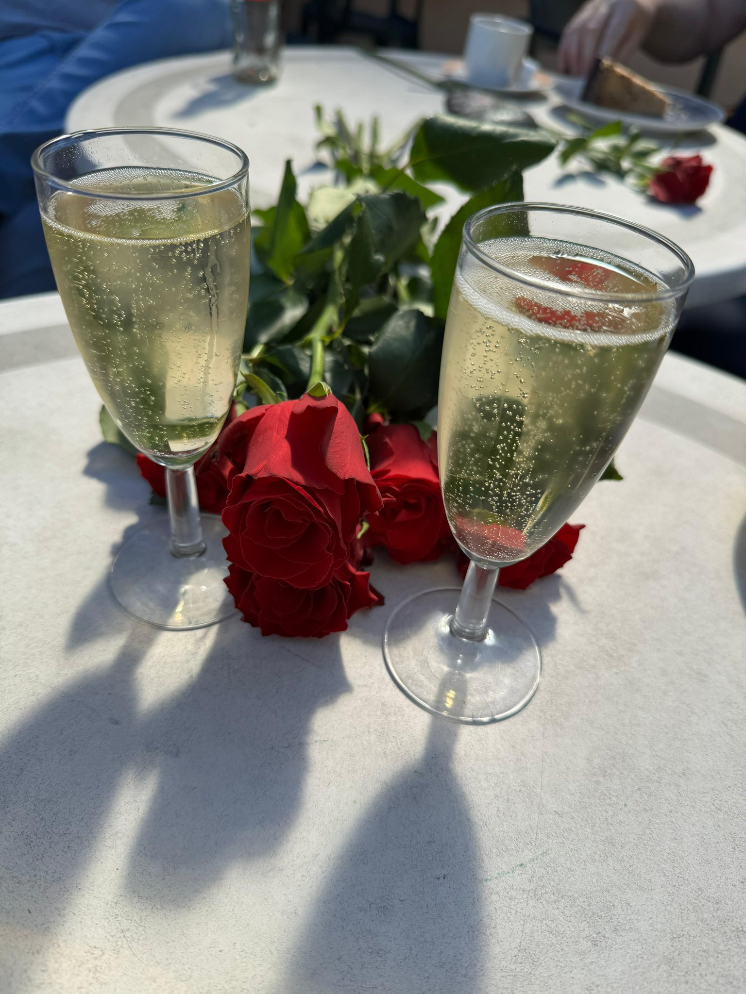 Beschreibung des Bildes